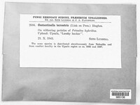 Image Associated With the Occurence